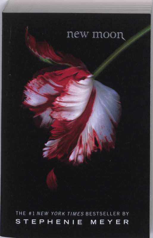 9780316024969-New-Moon