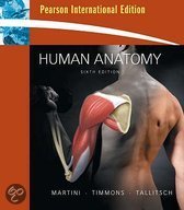 9780321539090-Human-Anatomy