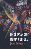 9780340720356-Understanding-Media-Culture