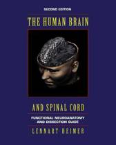 9780387942278-The-Human-Brain-and-Spinal-Cord