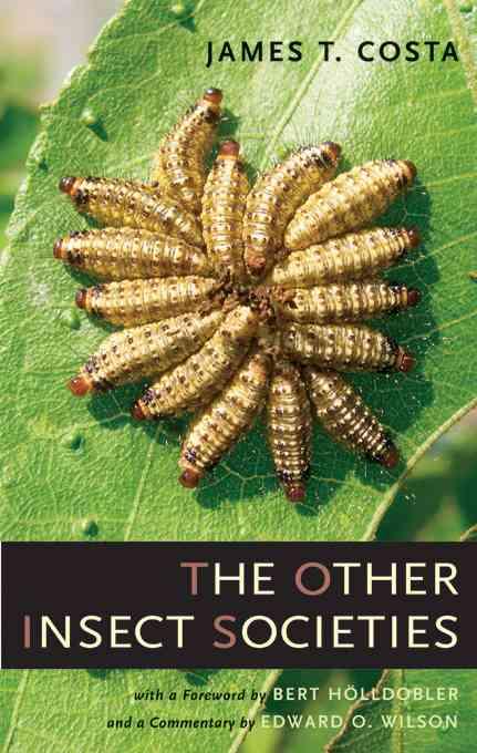 9780674021631-The-Other-Insect-Societies