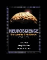 9780683305968-Neuroscience-Exploring-the-Brain