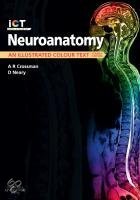 Neuroanatomy
