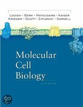 9780716743668-Molecular-Cell-Biology-Fifth-Edition