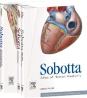 9780723437314 Sobotta Atlas of Anatomy Package