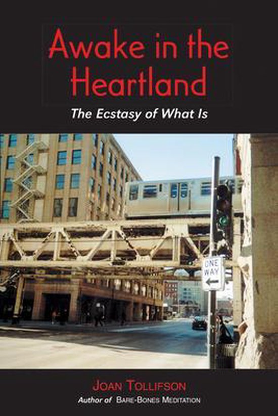 9780955176241-Awake-in-the-Heartland