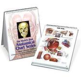 9780960373048 Anatomical Chart Book Laminated