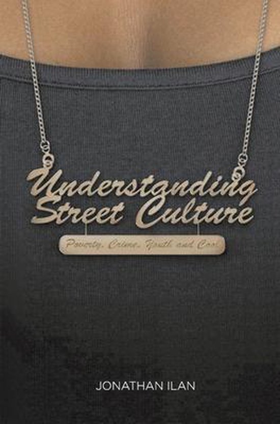 9781137028587 Understanding Street Culture