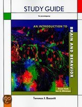 9781429234160 An Introduction to Brain and Behavior