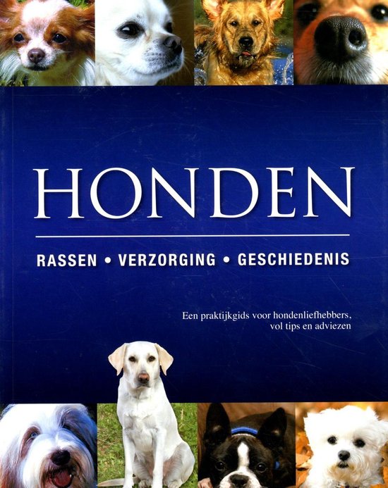 9781445409535-Honden