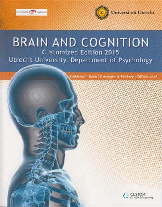Custom Brain & Cognition      016