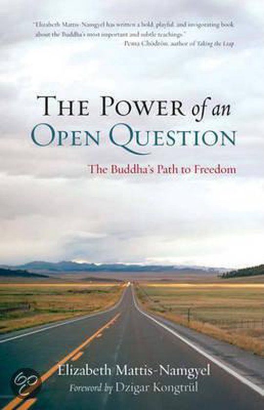 9781590307991 The Power of an Open Question