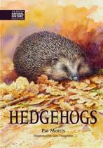 9781873580905-Hedgehogs