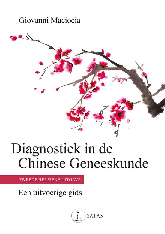 9782872932177-Diagnostiek-in-de-Chinese-geneeskunde-2de-uitgave