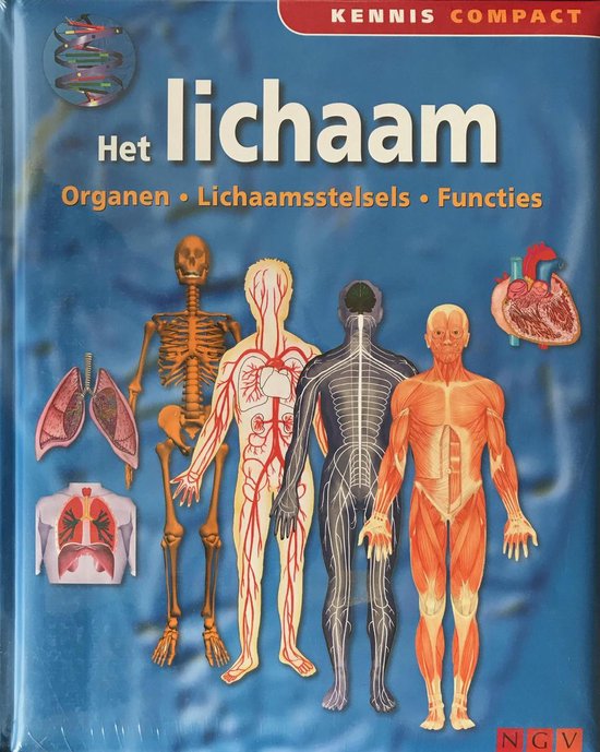 -Het-lichaam