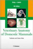 9783794528332-Bragulla-H-Veterinary-Anatomy-Domestic-Mammals