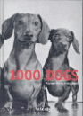 9783822819739-1000-Dogs