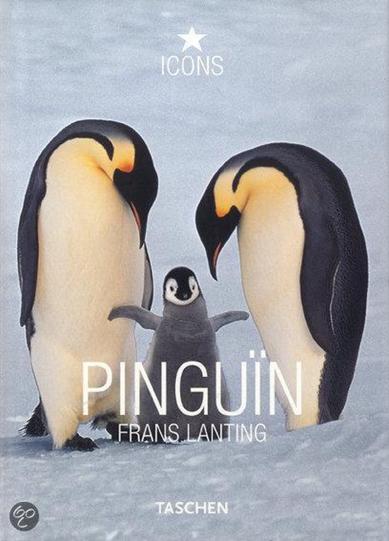 9783836508841 Pingun