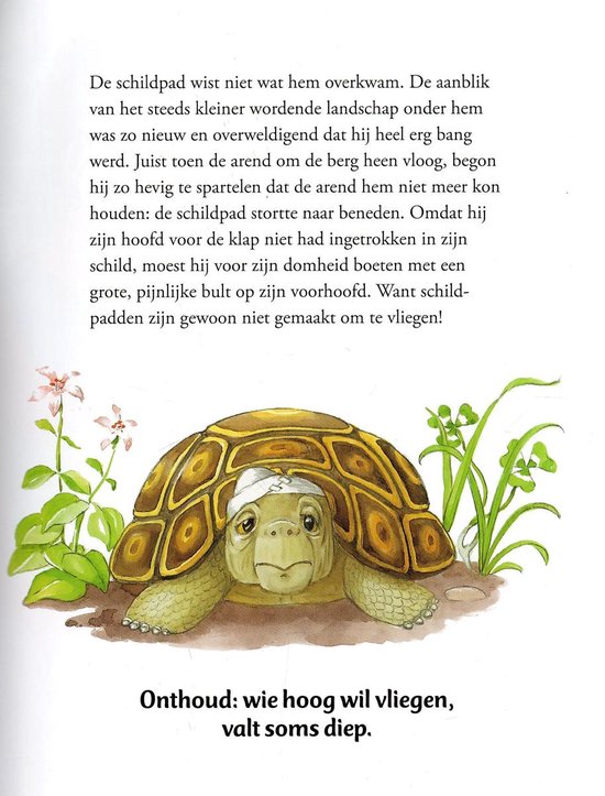 9783849908348-De-mooiste-fabels-voor-kinderen-illustraties-Anne-Suess