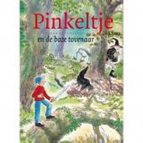9789000304516-Pinkeltje-en-de-boze-tovenaar