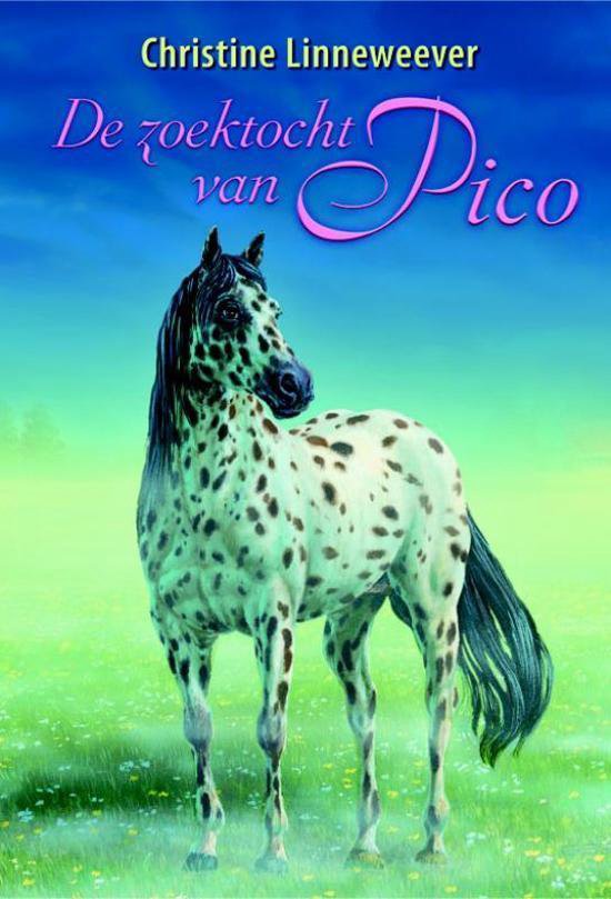 9789020659795-De-zoektocht-van-Pico