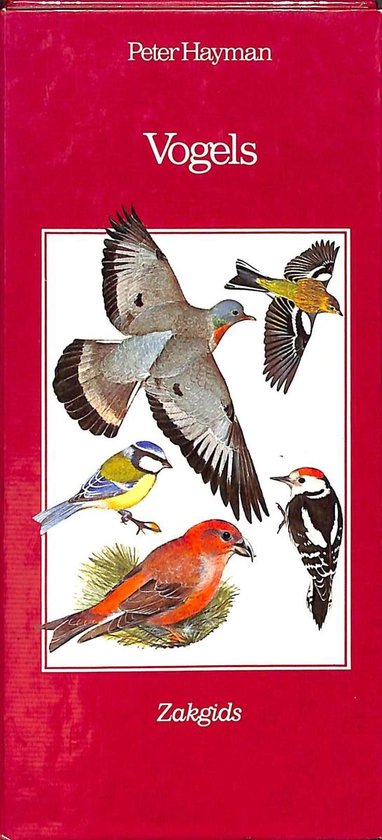 9789021010120-Vogels