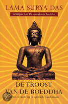 9789022537114-De-Troost-Van-De-Boeddha