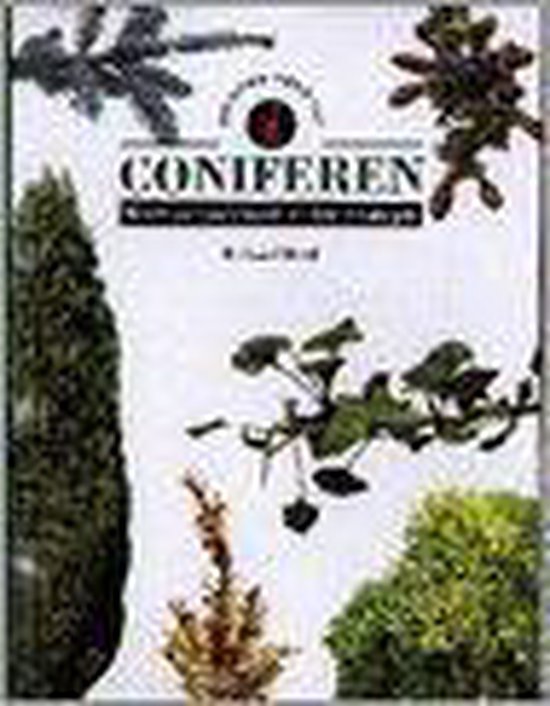 9789025295301-Identificeren-van-coniferen