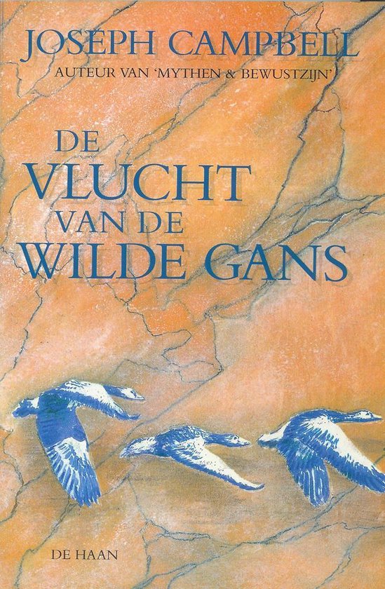 9789026962752-De-vlucht-van-de-wilde-gans