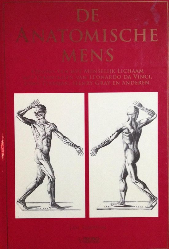 9789036608305-ANATOMISCHE-MENS