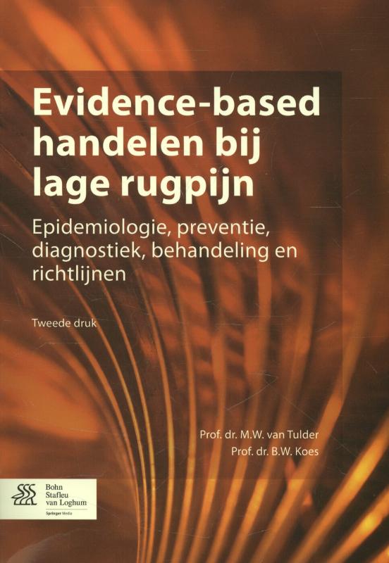 9789036802765-Evidence-based-handelen-bij-lage-rugpijn