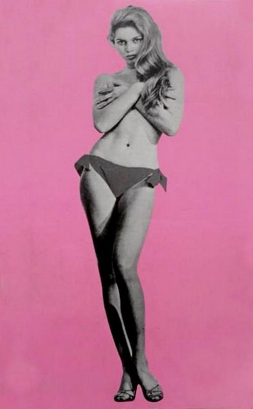 9789038849263-Wachten-op-Bardot