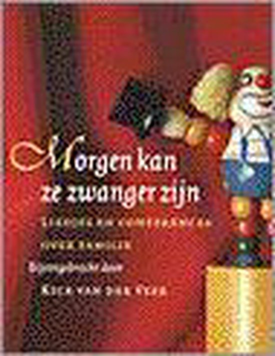 9789038880433-Morgen-kan-ze-zwanger-zijn