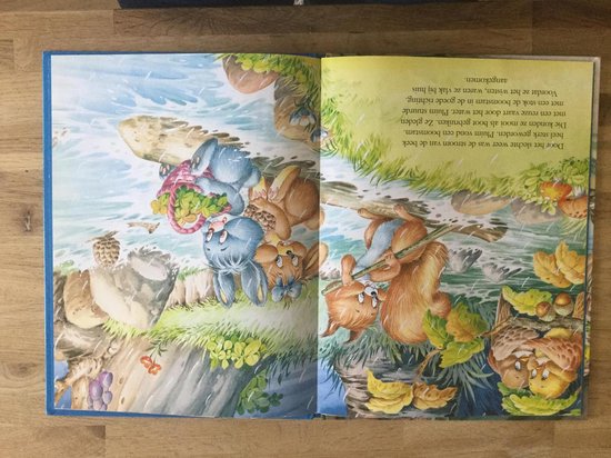 9789041221322-Het-blauwe-konijntje-en-de-verborgen-schat