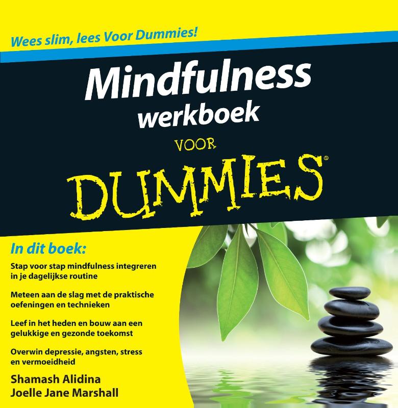 9789043028141 Mindfulness werkboek voor Dummies