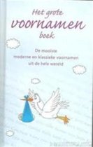 9789043804820-Het-grote-voornamenboek