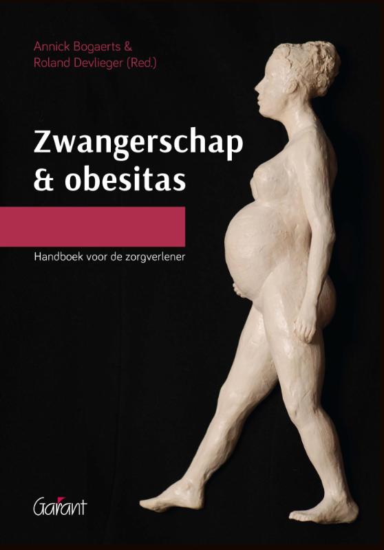 9789044131543 Zwangerschap en obesitas