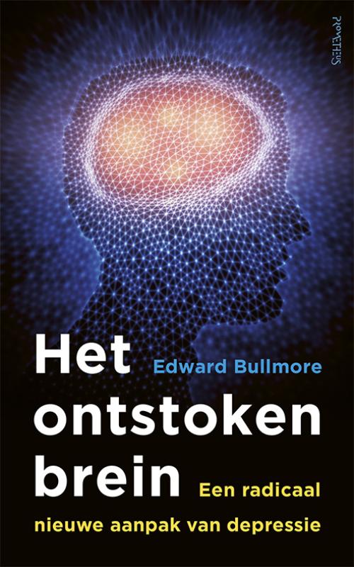 9789044638851-Het-ontstoken-brein