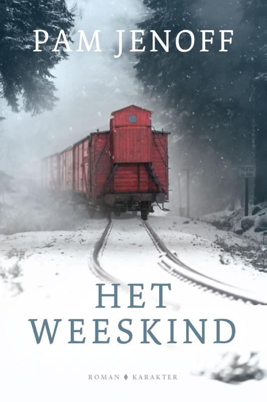 9789045218038-Het-weeskind