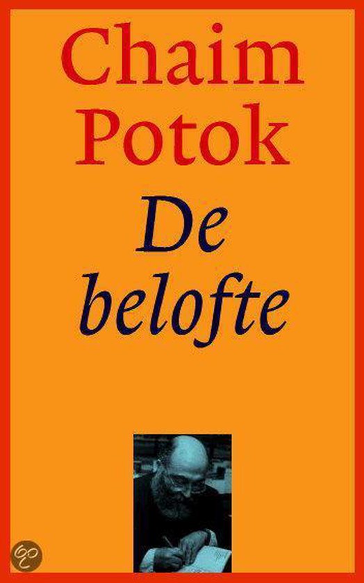 9789045301839-De-belofte