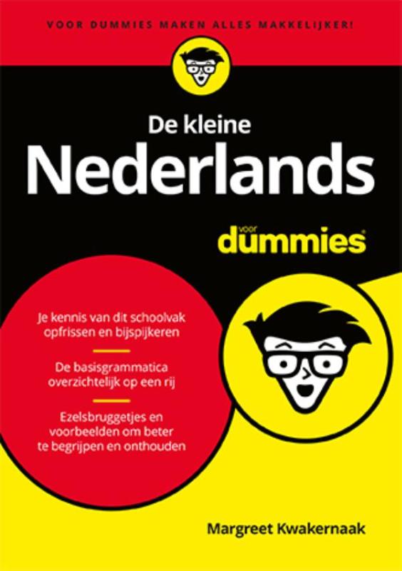 9789045351476-Voor-Dummies---De-kleine-Nederlands-voor-Dummies