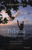 9789049999575-Bibrau-het-Vikingkind