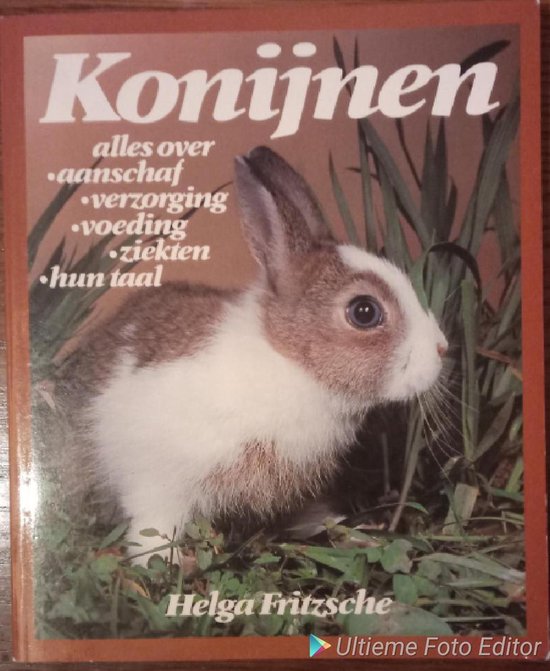 9789051210859-Konijnen