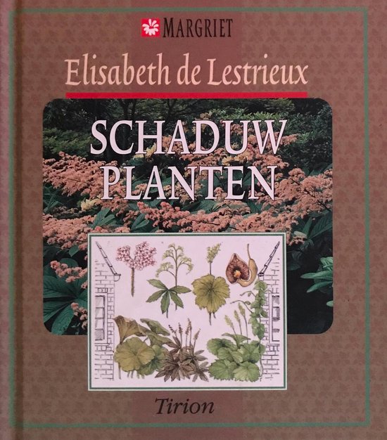 9789052101996-Schaduwplanten