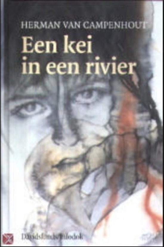 9789059080072-Een-kei-in-een-rivier