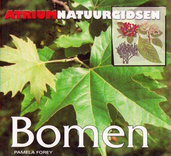 9789059472693-Bomen
