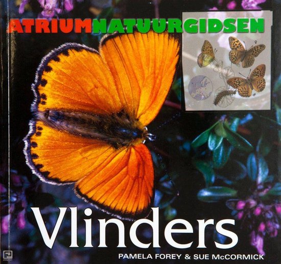 9789059472709-Vlinders