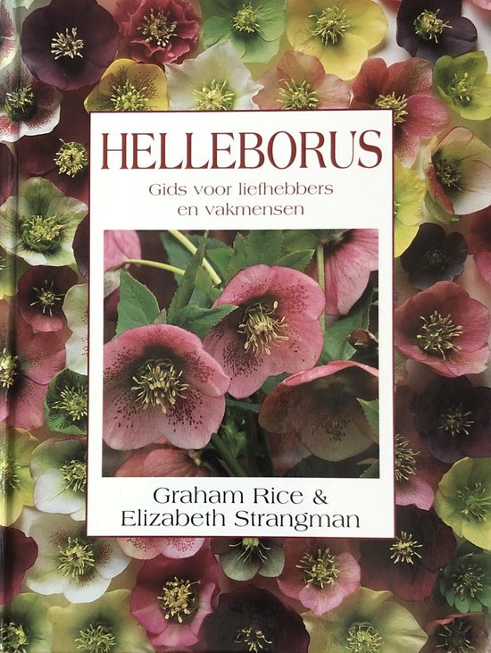 9789060974568-Helleborus
