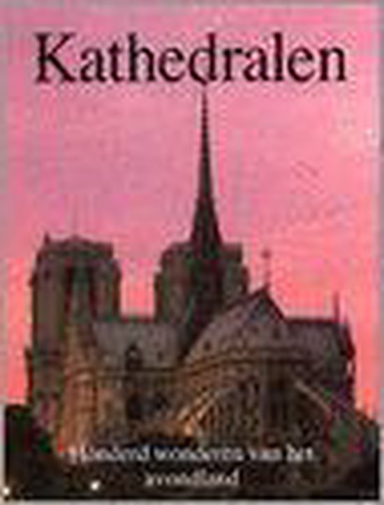 9789061134695 kathedralen