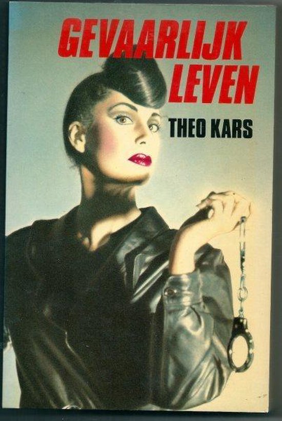 9789062134953-Gevaarlyk-leven